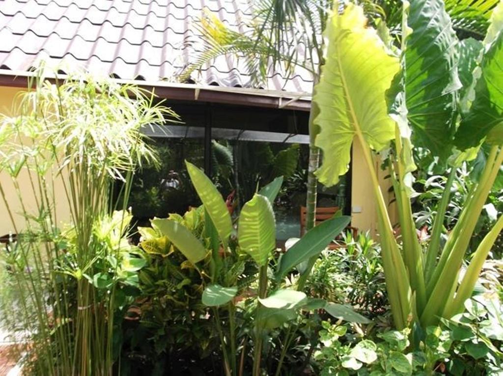 Op Bungalow Chaweng Extérieur photo